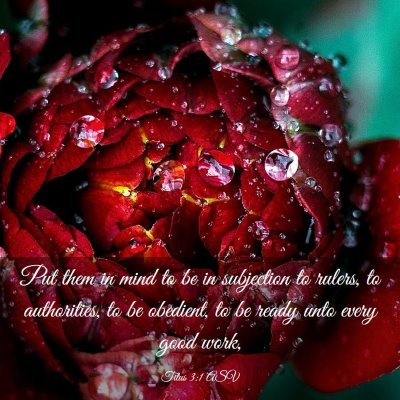 Picture 03 - Titus 3:1 ASV - Put them in mind to be in subjection to rulers, - Bible Verse Picture