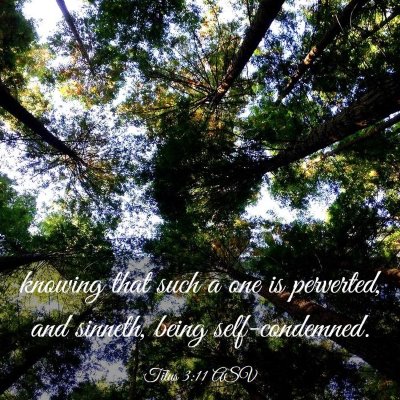 Picture 03 - Titus 3:11 ASV - knowing that such a one is perverted, and - Bible Verse Picture