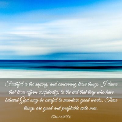 Picture 03 - Titus 3:8 ASV - Faithful is the saying, and concerning these - Bible Verse Picture