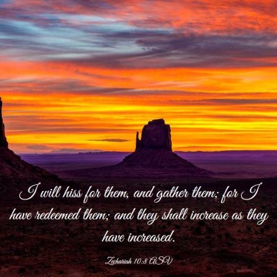 Picture 03 - Zechariah 10:8 ASV - I will hiss for them, and gather them; for I have - Bible Verse Picture
