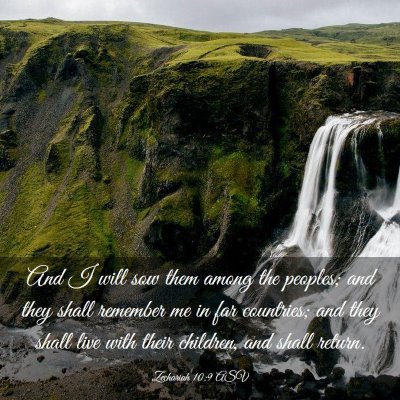 Picture 03 - Zechariah 10:9 ASV - And I will sow them among the peoples; and they - Bible Verse Picture