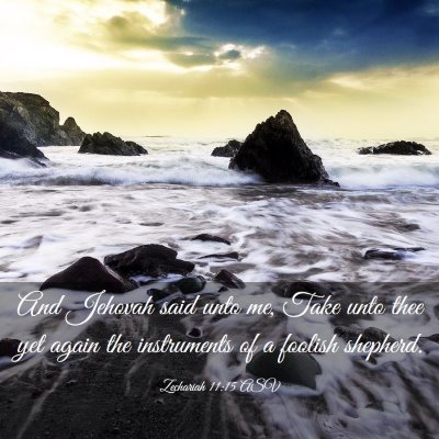 Picture 03 - Zechariah 11:15 ASV - And Jehovah said unto me, Take unto thee yet - Bible Verse Picture