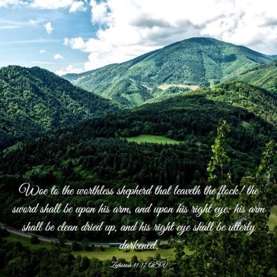 Picture 03 - Zechariah 11:17 ASV - Woe to the worthless shepherd that leaveth the - Bible Verse Picture