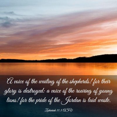 Picture 03 - Zechariah 11:3 ASV - A voice of the wailing of the shepherds! for - Bible Verse Picture