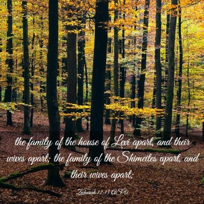 Picture 03 - Zechariah 12:13 ASV - the family of the house of Levi apart, and their - Bible Verse Picture