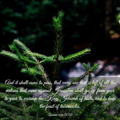 Picture 03 - Zechariah 14:16 ASV - And it shall come to pass, that every one that is - Bible Verse Picture