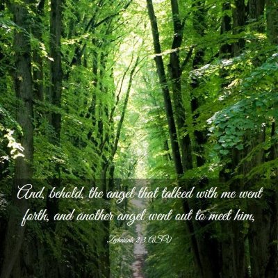 Picture 03 - Zechariah 2:3 ASV - And, behold, the angel that talked with me went - Bible Verse Picture