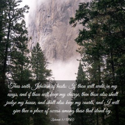 Picture 03 - Zechariah 3:7 ASV - Thus saith Jehovah of hosts: If thou wilt walk in - Bible Verse Picture