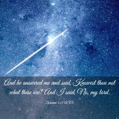 Picture 03 - Zechariah 4:13 ASV - And he answered me and said, Knowest thou not - Bible Verse Picture
