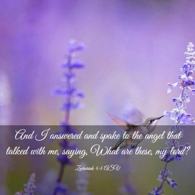 Picture 03 - Zechariah 4:4 ASV - And I answered and spake to the angel that talked - Bible Verse Picture
