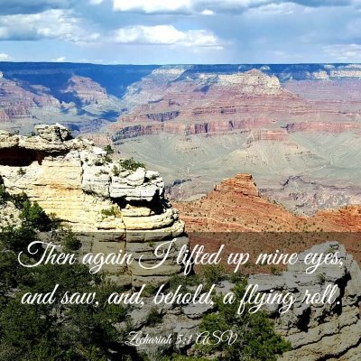 Picture 03 - Zechariah 5:1 ASV - Then again I lifted up mine eyes, and saw, and, - Bible Verse Picture