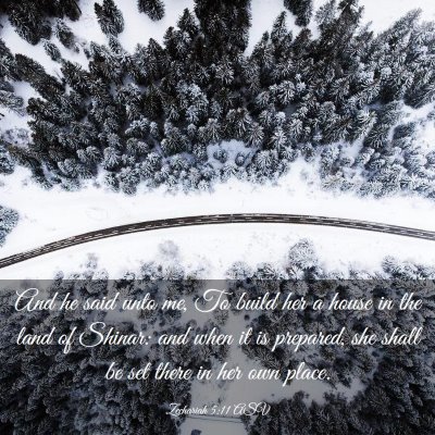 Picture 03 - Zechariah 5:11 ASV - And he said unto me, To build her a house in the - Bible Verse Picture
