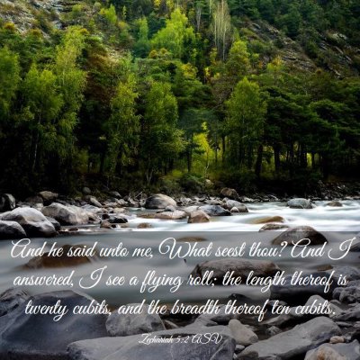 Picture 03 - Zechariah 5:2 ASV - And he said unto me, What seest thou? And I - Bible Verse Picture