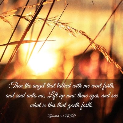 Picture 03 - Zechariah 5:5 ASV - Then the angel that talked with me went forth, - Bible Verse Picture