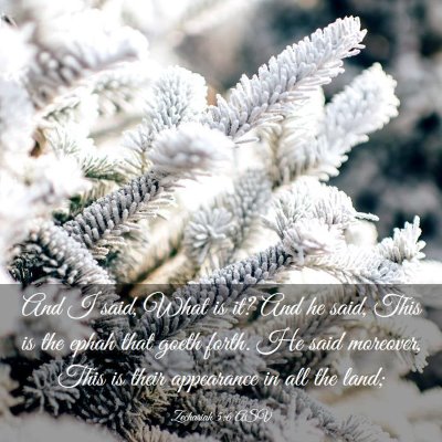 Picture 03 - Zechariah 5:6 ASV - And I said, What is it? And he said, This is the - Bible Verse Picture