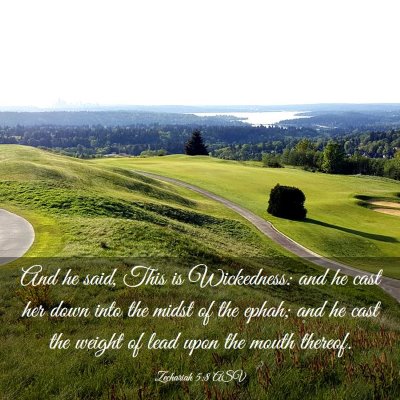 Picture 03 - Zechariah 5:8 ASV - And he said, This is Wickedness: and he cast her - Bible Verse Picture