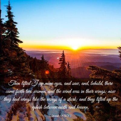 Picture 03 - Zechariah 5:9 ASV - Then lifted I up mine eyes, and saw, and, behold, - Bible Verse Picture