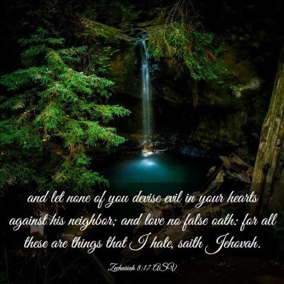 Picture 03 - Zechariah 8:17 ASV - and let none of you devise evil in your hearts - Bible Verse Picture