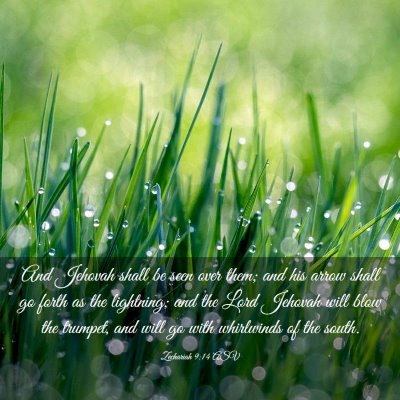 Picture 03 - Zechariah 9:14 ASV - And Jehovah shall be seen over them; and his - Bible Verse Picture