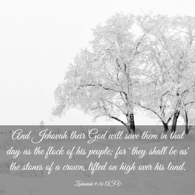 Picture 03 - Zechariah 9:16 ASV - And Jehovah their God will save them in that day - Bible Verse Picture