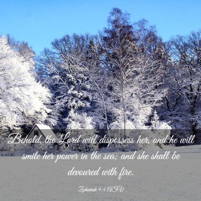 Picture 03 - Zechariah 9:4 ASV - Behold, the Lord will dispossess her, and he will - Bible Verse Picture
