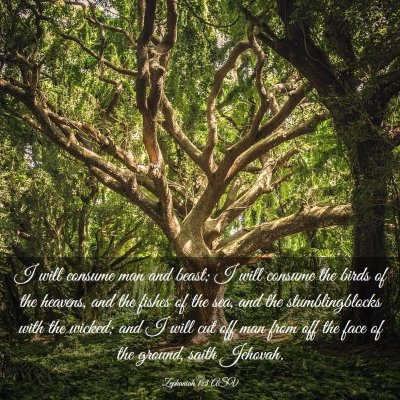 Picture 03 - Zephaniah 1:3 ASV - I will consume man and beast; I will consume the - Bible Verse Picture