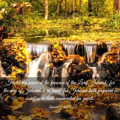 Picture 03 - Zephaniah 1:7 ASV - Hold thy peace at the presence of the Lord - Bible Verse Picture