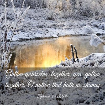 Picture 03 - Zephaniah 2:1 ASV - Gather yourselves together, yea, gather together, - Bible Verse Picture