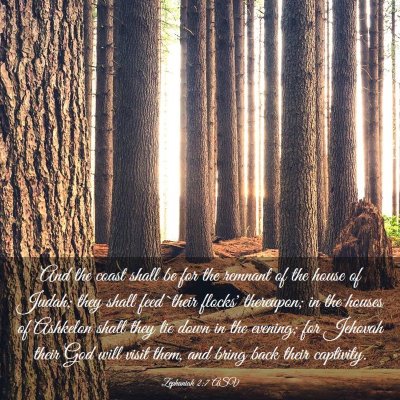 Picture 03 - Zephaniah 2:7 ASV - And the coast shall be for the remnant of the - Bible Verse Picture