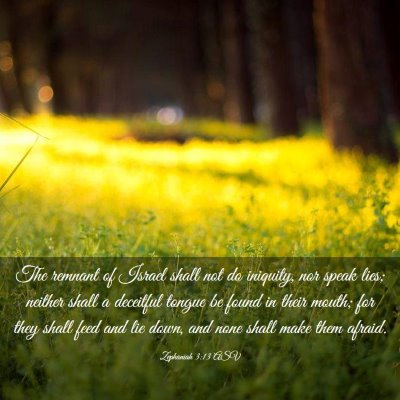 Picture 03 - Zephaniah 3:13 ASV - The remnant of Israel shall not do iniquity, nor - Bible Verse Picture