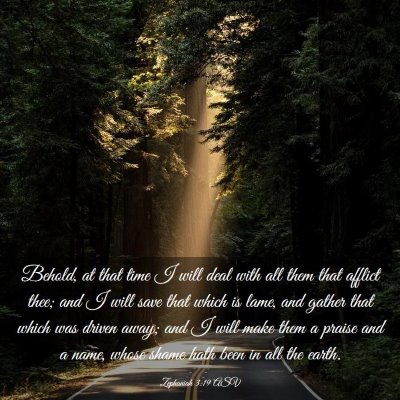 Picture 03 - Zephaniah 3:19 ASV - Behold, at that time I will deal with all them - Bible Verse Picture