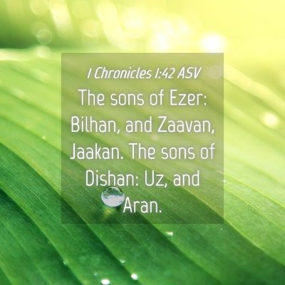 Picture 04 - 1 Chronicles 1:42 ASV - The sons of Ezer: Bilhan, and Zaavan, Jaakan. The - Bible Verse Picture
