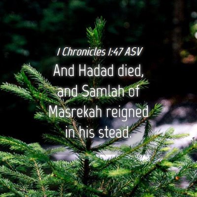 Picture 04 - 1 Chronicles 1:47 ASV - And Hadad died, and Samlah of Masrekah reigned in - Bible Verse Picture