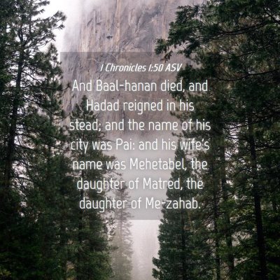 Picture 04 - 1 Chronicles 1:50 ASV - And Baal-hanan died, and Hadad reigned in his - Bible Verse Picture