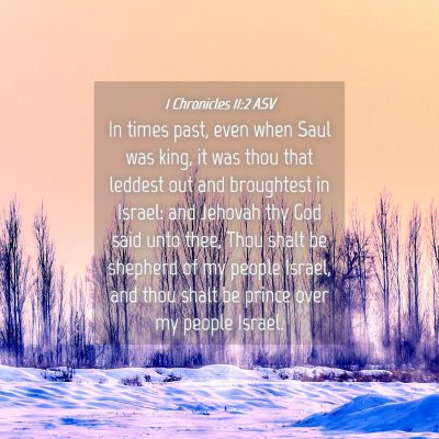 Picture 04 - 1 Chronicles 11:2 ASV - In times past, even when Saul was king, it was - Bible Verse Picture