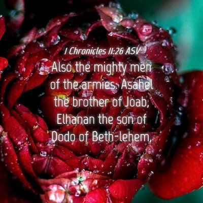 Picture 04 - 1 Chronicles 11:26 ASV - Also the mighty men of the armies: Asahel the - Bible Verse Picture