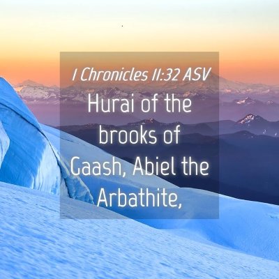 Picture 04 - 1 Chronicles 11:32 ASV - Hurai of the brooks of Gaash, Abiel the - Bible Verse Picture