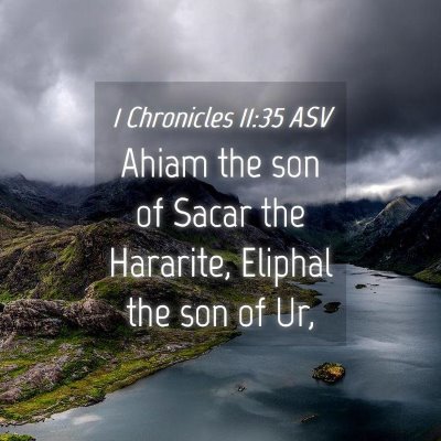 Picture 04 - 1 Chronicles 11:35 ASV - Ahiam the son of Sacar the Hararite, Eliphal the - Bible Verse Picture