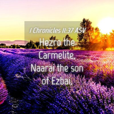 Picture 04 - 1 Chronicles 11:37 ASV - Hezro the Carmelite, Naarai the son of - Bible Verse Picture