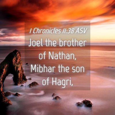 Picture 04 - 1 Chronicles 11:38 ASV - Joel the brother of Nathan, Mibhar the son of - Bible Verse Picture