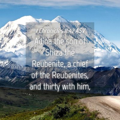 Picture 04 - 1 Chronicles 11:42 ASV - Adina the son of Shiza the Reubenite, a chief of - Bible Verse Picture