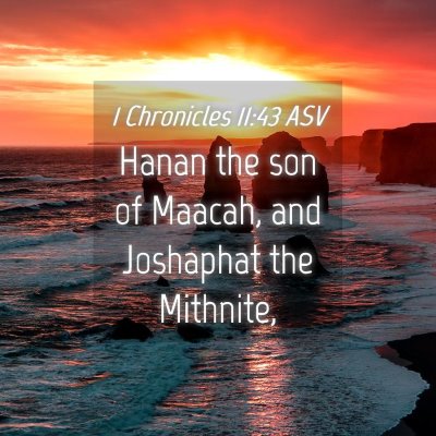 Picture 04 - 1 Chronicles 11:43 ASV - Hanan the son of Maacah, and Joshaphat the - Bible Verse Picture
