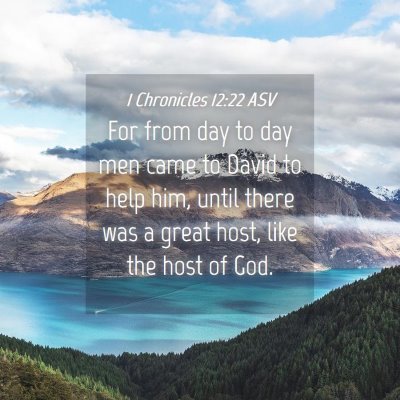 Picture 04 - 1 Chronicles 12:22 ASV - For from day to day men came to David to help - Bible Verse Picture