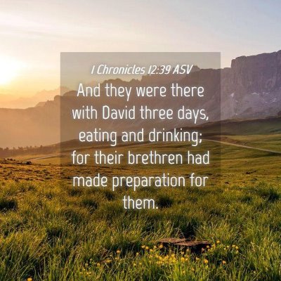 Picture 04 - 1 Chronicles 12:39 ASV - And they were there with David three days, eating - Bible Verse Picture