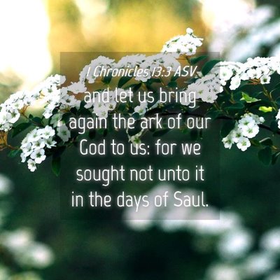 Picture 04 - 1 Chronicles 13:3 ASV - and let us bring again the ark of our God to us: - Bible Verse Picture