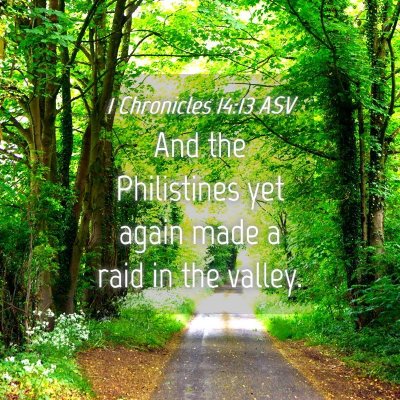 Picture 04 - 1 Chronicles 14:13 ASV - And the Philistines yet again made a raid in the - Bible Verse Picture