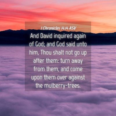 Picture 04 - 1 Chronicles 14:14 ASV - And David inquired again of God; and God said - Bible Verse Picture