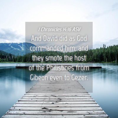 Picture 04 - 1 Chronicles 14:16 ASV - And David did as God commanded him: and they - Bible Verse Picture