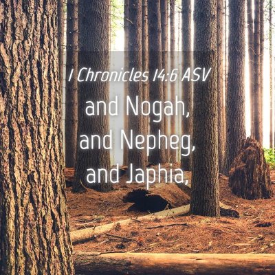 Picture 04 - 1 Chronicles 14:6 ASV - and Nogah, and Nepheg, and - Bible Verse Picture