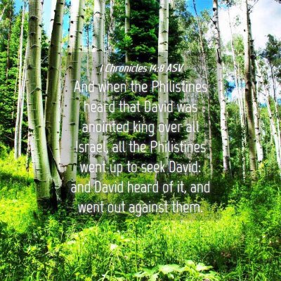Picture 04 - 1 Chronicles 14:8 ASV - And when the Philistines heard that David was - Bible Verse Picture